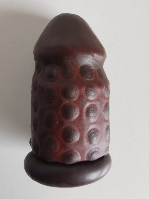 Penishülle
