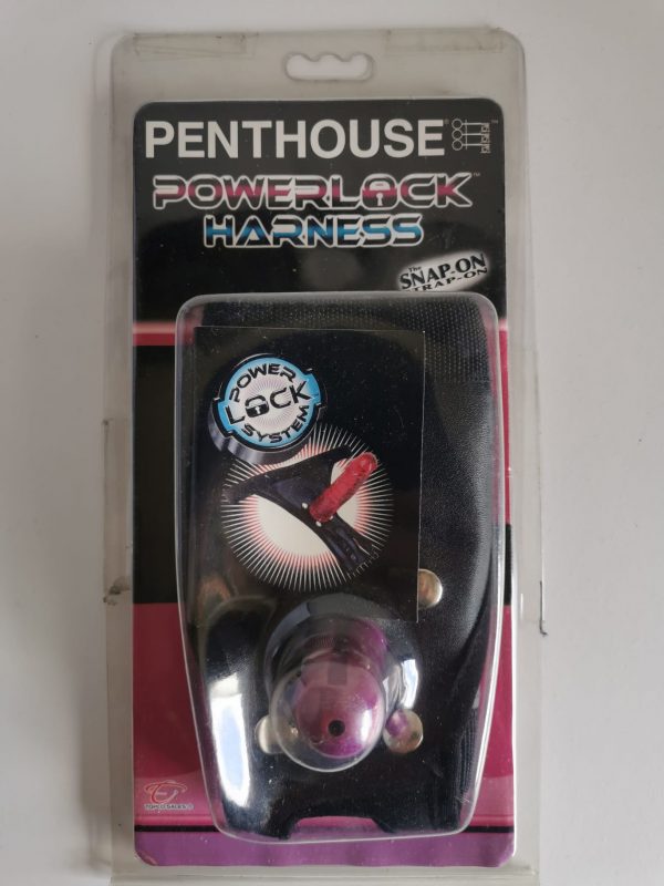 Strap-On mit Aufsatz für Dildos
